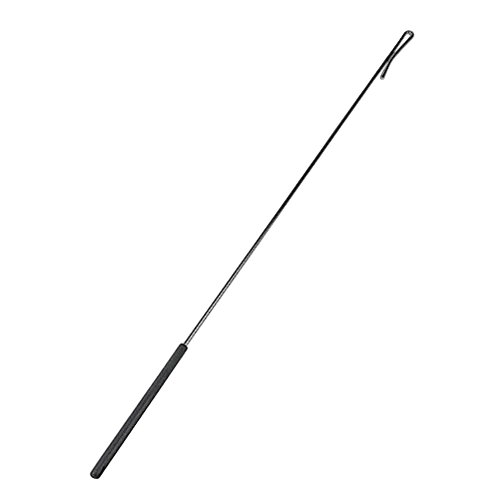 Arm Rod